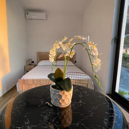 Four Generation Bed and breakfast Široka