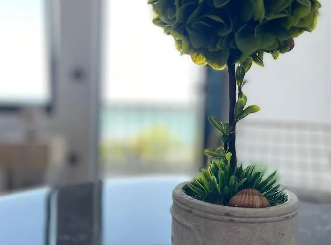 Bed & Breakfast Four Generation